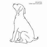 Pointer German Coloring Shorthaired Pages Puppy Hare Christmas Color Getcolorings 8x10 Shorthair Getdrawings Line Own sketch template