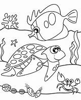 Topcoloringpages Turtle sketch template