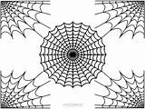 Spinnennetz Kostenlos Ausdrucken Cool2bkids Malvorlagen sketch template