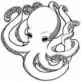 Coloring Octopus Big Print sketch template