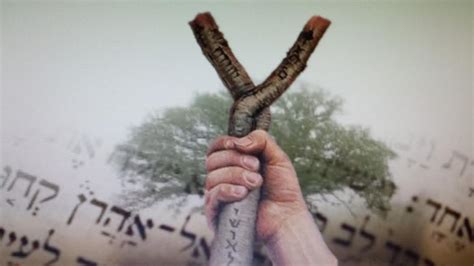 sticks hebrew bible bible study tools judah israel sticks king  kings school