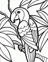 Coloring Pages Bird Parrot Printable 1000 Gif Kids Birds 1301 Colouring Print Child sketch template