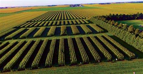 strip cropping experiments yielding economic environmental advantages strip  farmer