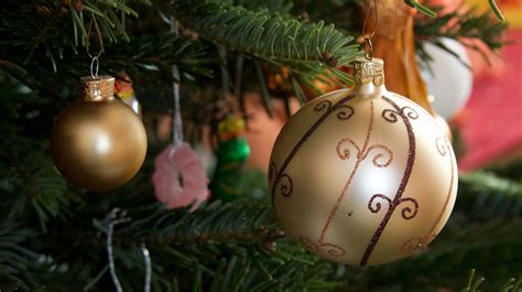 dispose   christmas tree  lincolnshire