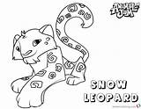Jam Animal Coloring Pages Leopard Snow Printable Kids Adults Bettercoloring sketch template