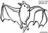 Bat Pages Vampire Coloring Template sketch template