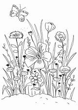 Blumenwiese Malvorlage Kostenlose Natur sketch template