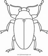 Malvorlage Insekten Ausmalen Kaefer sketch template