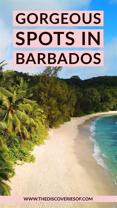 Fabulous Things To Do In Barbados
