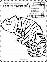 Rainforest Worksheets Math Addition Themed Kindergarten Grade First Preschool Chameleon Activities Worksheet Coloring Color Lesson Animal Preview Second Teacherspayteachers Choose sketch template