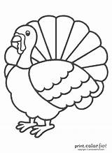 Turkey Coloring Pages Color Print Thanksgiving Printable Printables Outline Fun Cartoon Cute Wild Drawing Clipart Kids Preschool Happy Poultry Funny sketch template