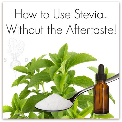 avoid  artificial stevia taste  seasonal diet
