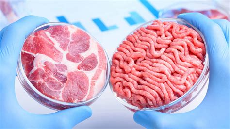 la carne sintética o de laboratorio ¿es el futuro para la