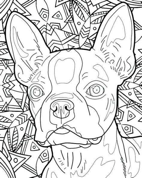 dog breed coloring pages  getdrawings