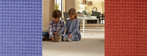 buying carpet    top  guidelines