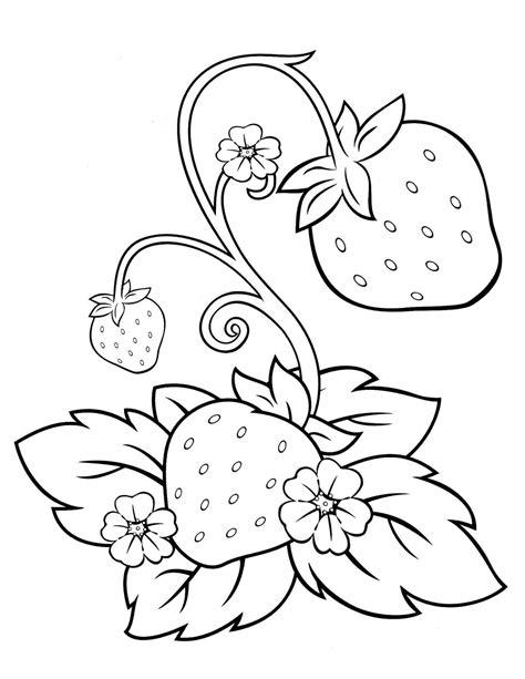 chosen illustrations  strawberry coloring pages coloring pages