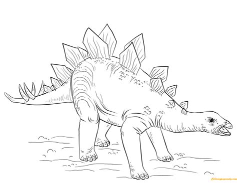 young stegosaurus  dinosaur coloring page  printable coloring