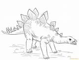 Coloring Pages Stegosaurus Draw Dinosaur Drawing Young Online Dinosaurs Color Printable Coloringpagesonly sketch template