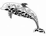 Whale Dolphin sketch template