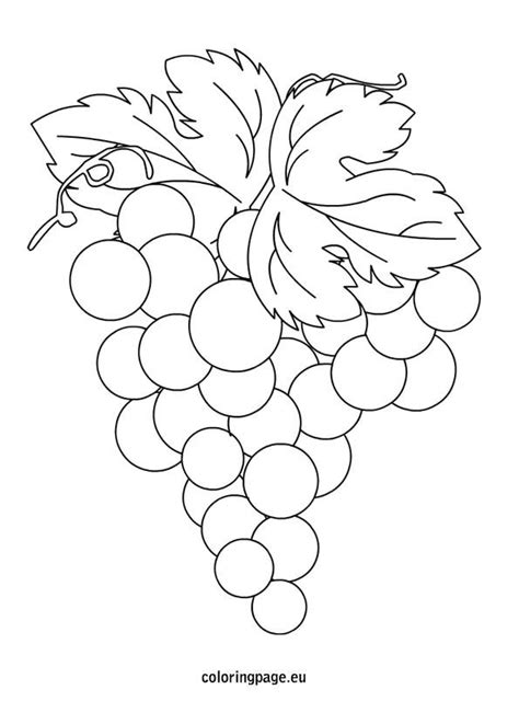 grapes coloring page coloring page