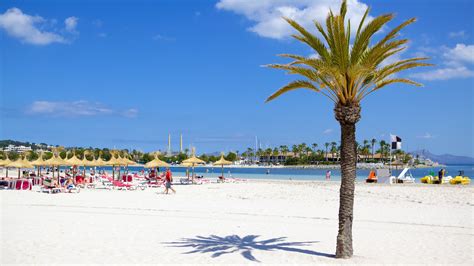 travel  town alcudia    town alcudia visit balearic