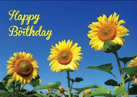 amazoncom sunflower birthday  message   card reads