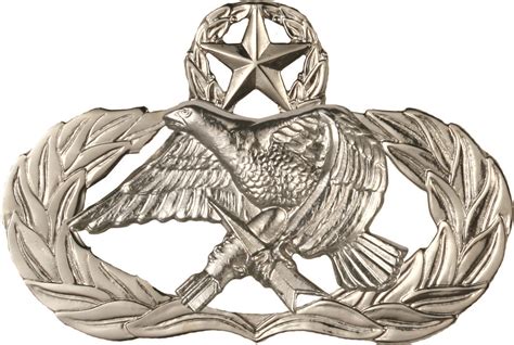 pin  united states usaf qualification badges