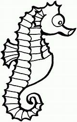Seahorse Coloring Cartoon Pages Sea Horse Outline Clip Funny Clipart Drawing Cliparts Cute Kids Seahorses Color Sheet Library Clipartbest Getdrawings sketch template