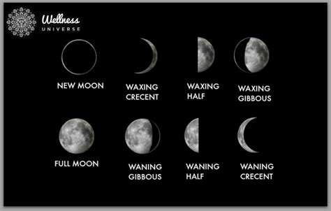 understanding   moon cycles  wellness universe blog