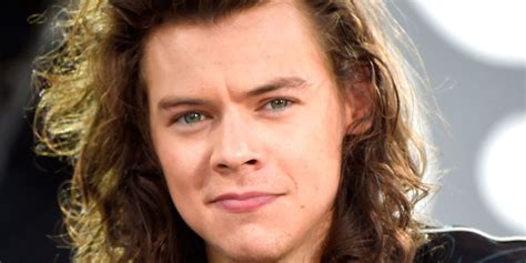 sounds like harry styles has landed his first big time movie role