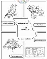 Missouri State Symbols Coloring sketch template