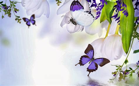 achtergronden laptop bloemen transform  screen  stunning