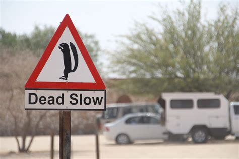 road signs die dich zum schmunzeln bringen namibias