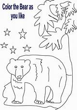 Bear Coloring Kids Animal Worksheets Pdf Open Print  Animals sketch template