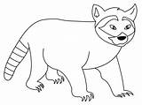 Raccoon Coloring Pages Printable Kids Bestcoloringpagesforkids sketch template