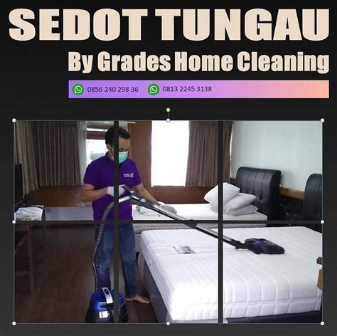 membersihkan tungau  spring bed  alami  aman grades