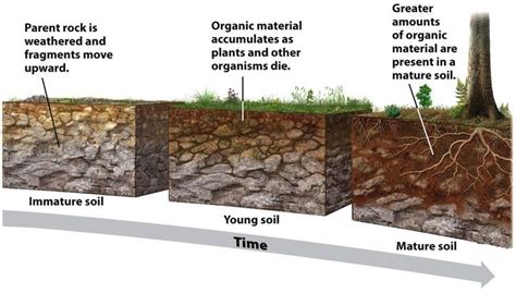 soil formation  breakdown  rock  primary minerals