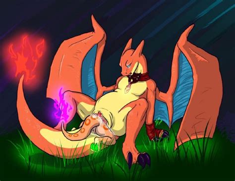 good fit by an unknown artist pokemon showcase charizard sorted
