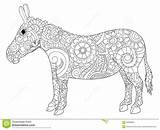 Donkey Mule sketch template