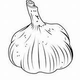Ajo Puerro Verduras Ail Hellokids Piment Pimenta Reino Tête Garlic Frutero Visitar Légumes Lauch Knoblauch sketch template