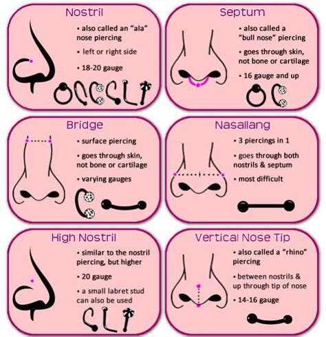 10 Types Of Nose Piercings 2023 Healing Time Styling And Nose Jewelry