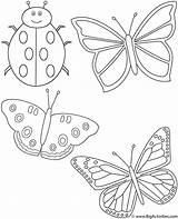 Coloring Ladybug Pages Butterflies Lady Insects Bugs Color Printable Three Clipart Kids Bug Activity Great Who Library Comments Print Bigactivities sketch template