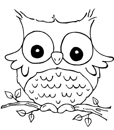 nocturnal bird owl coloring pages  pictures cartoon clip arts print color craft