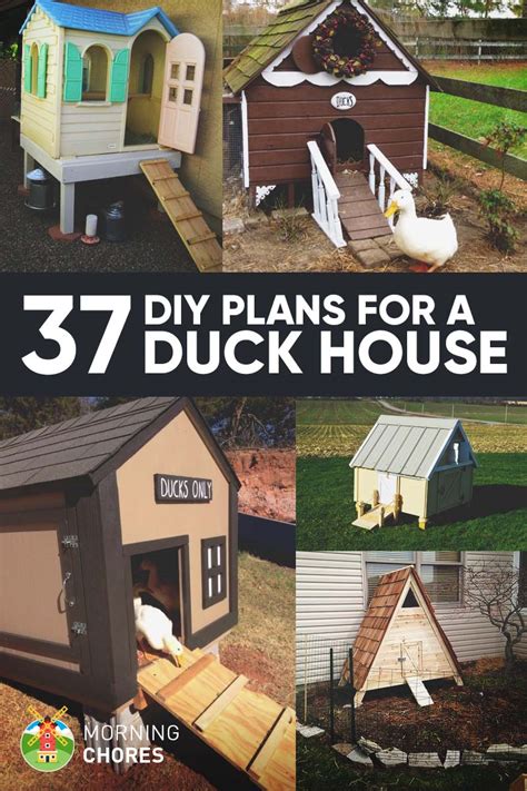 diy duck house coop plans ideas