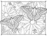Manitoulin Coloring sketch template
