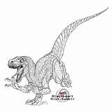 Jurassic Unduh Velociraptor sketch template