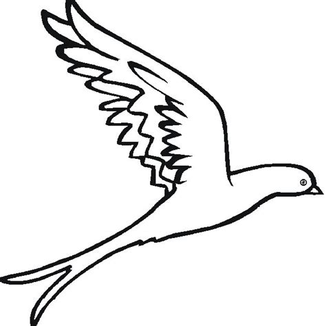 bird  color flying bird  bird coloring pages coloring pages