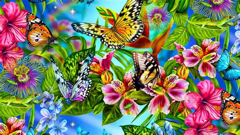 colorful butterfly hd wallpapers real artistic