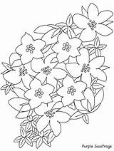 Fiori Fiore Saxifrage Blumen Natura Coloratutto Mazzo Rosa Adulti Frutas Ragazzi Disegnidacolorareperadulti Malva Colorironline sketch template