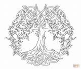 Coloring Pages Mandala Celtic Tree Life Printable Adult Rose sketch template